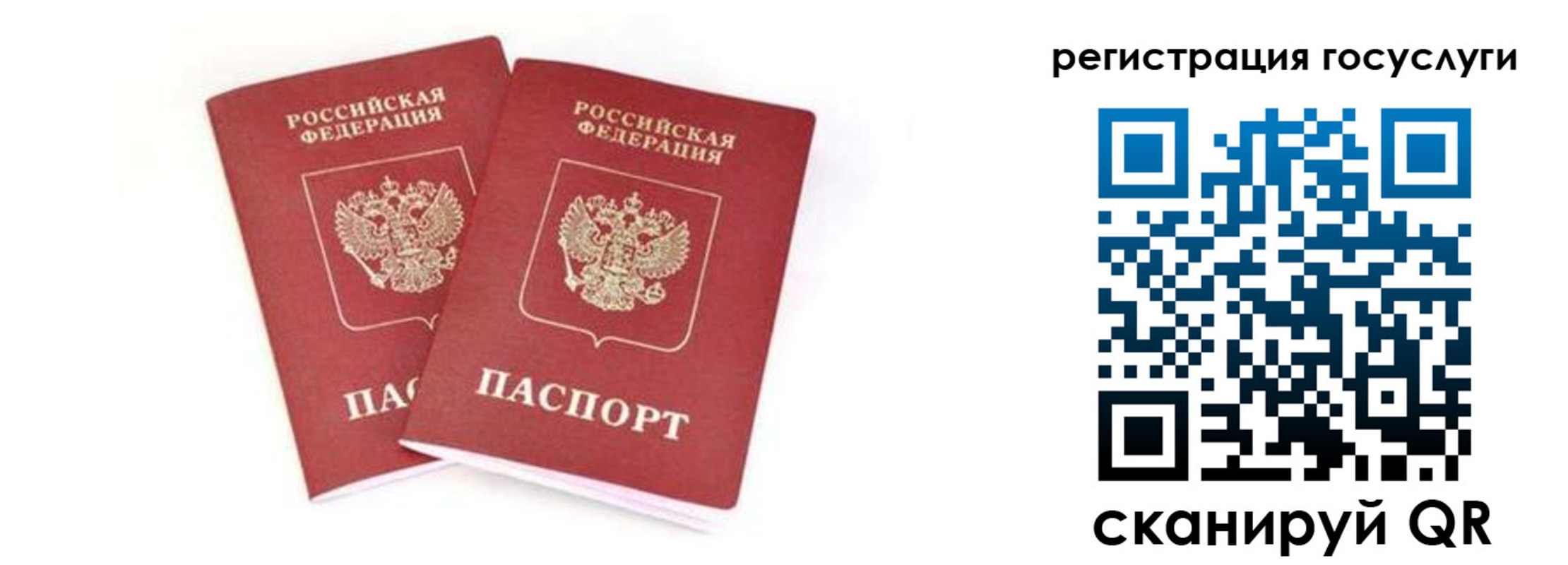 прописка в квартире в Орехово-Зуево